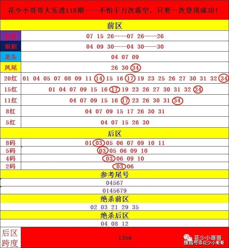 2024今晚新澳门开奖号码,高效实施方法解析_专业版50.456